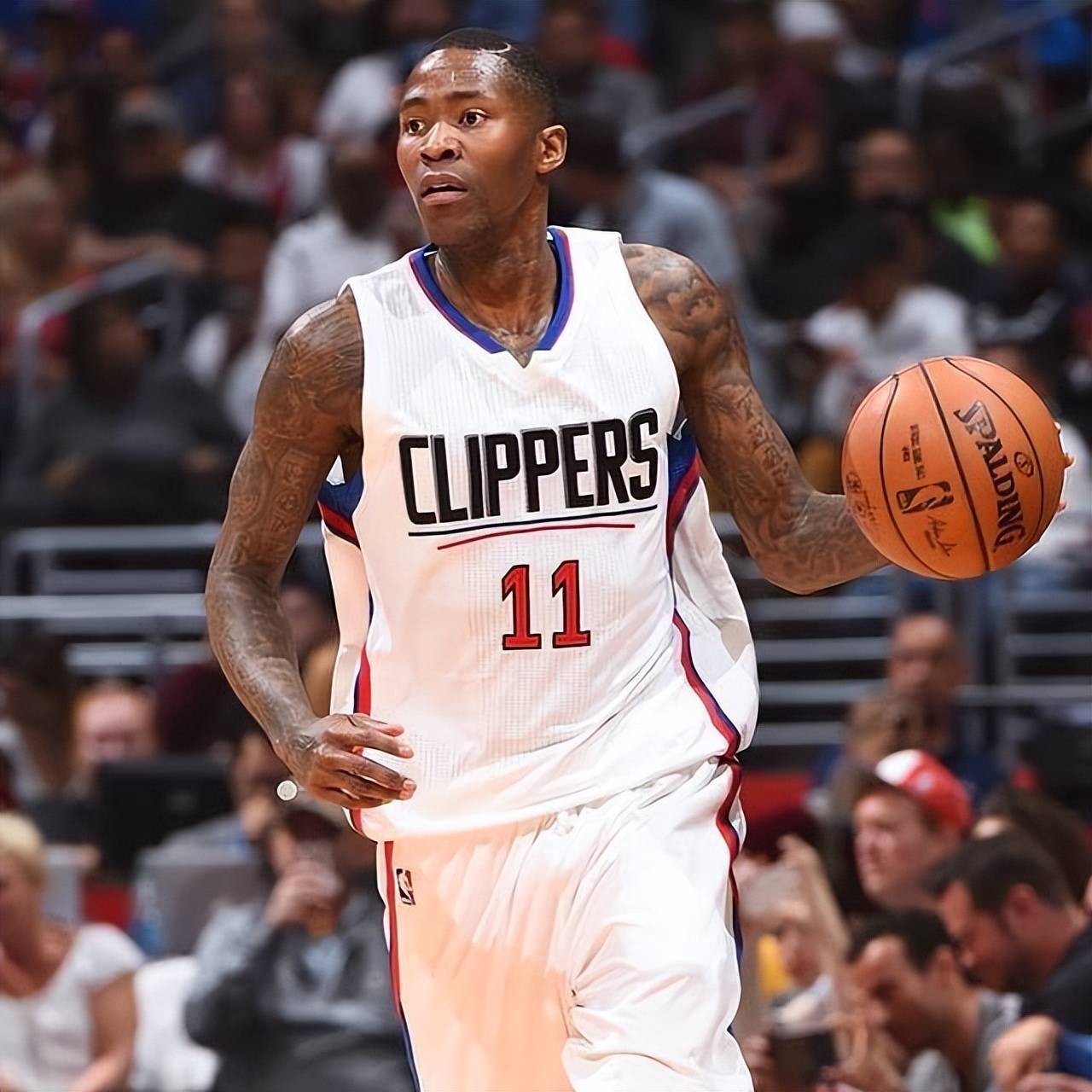 引进鲁本 引进鲁本